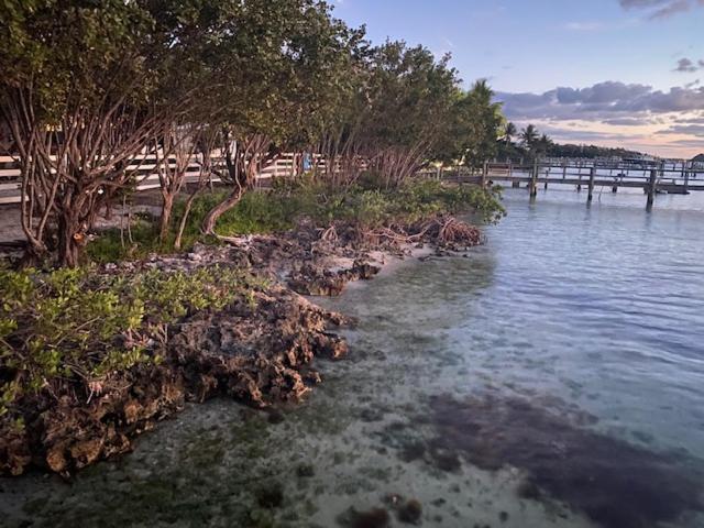 Bahia Bay Resort คีย์ลาร์โก ภายนอก รูปภาพ